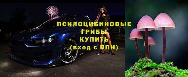 метадон Почеп