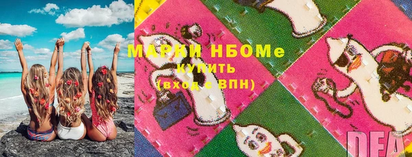 PSILOCYBIN Порхов