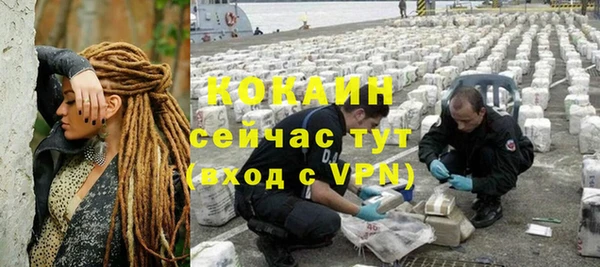 PSILOCYBIN Порхов