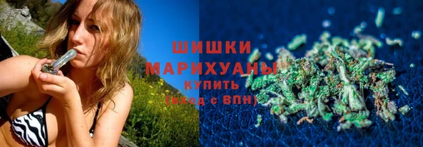 PSILOCYBIN Порхов